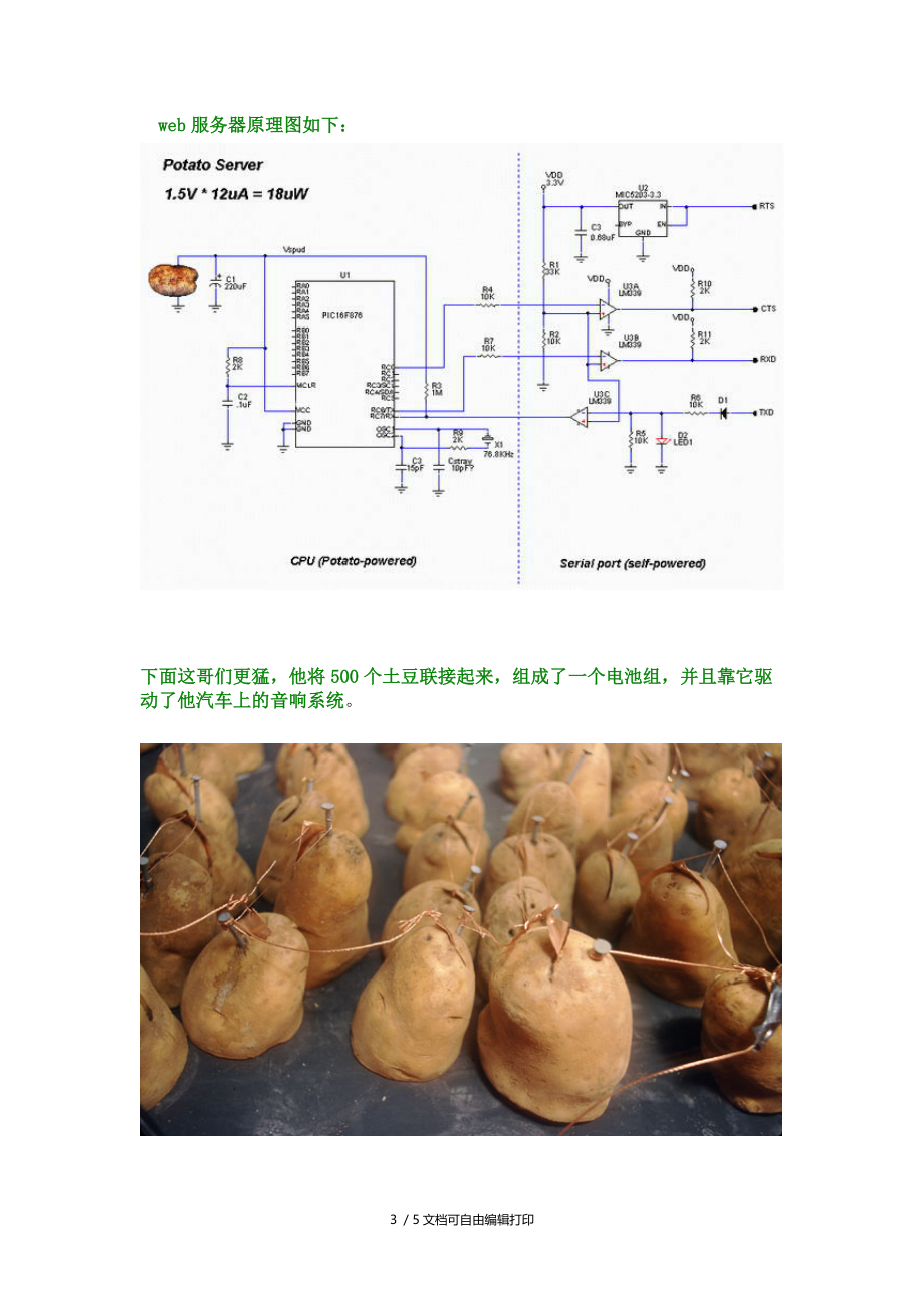 绿色环保的土豆电池.doc_第3页