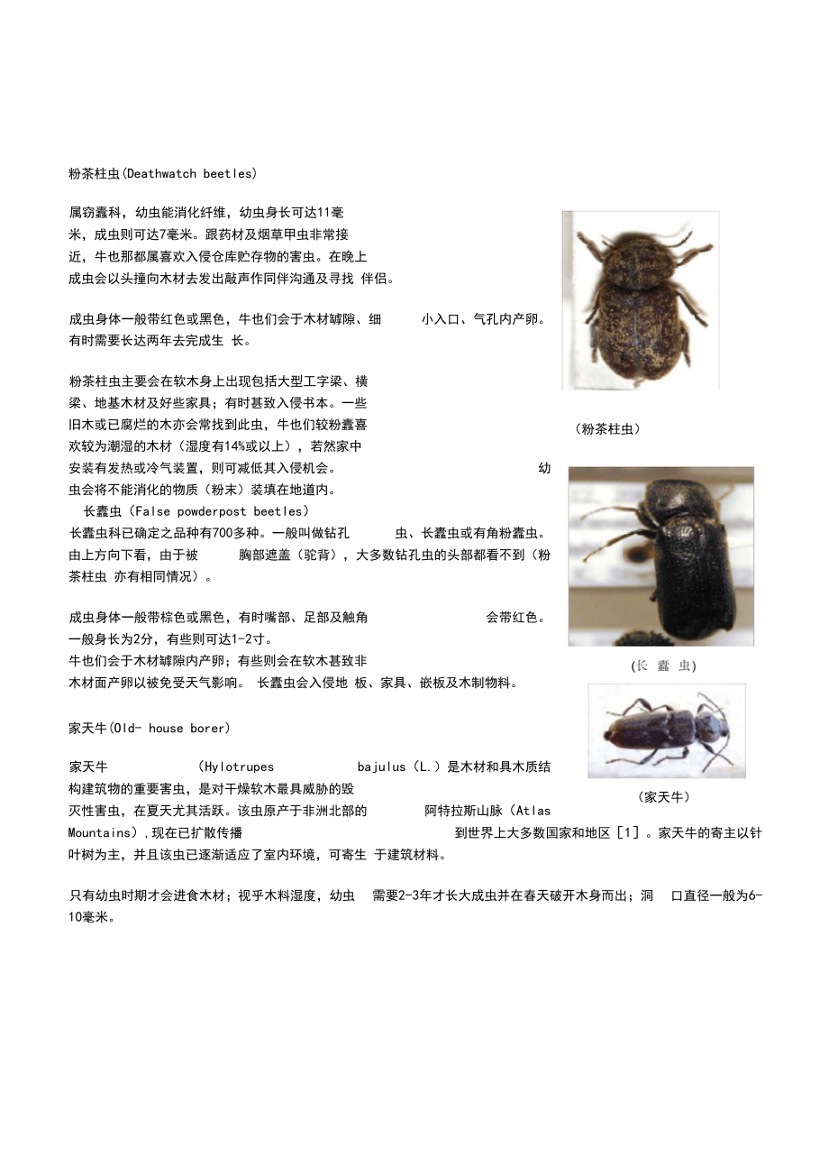 新蛀木虫粉蠹虫控制.docx_第2页