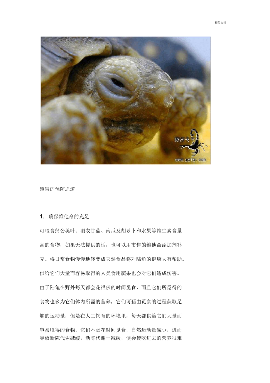 [新手必读]陆龟的感冒、肺炎防治.docx_第2页