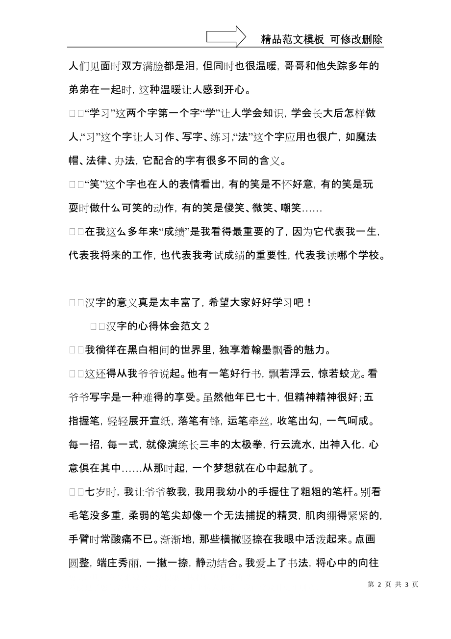汉字的心得体会范文.docx_第2页