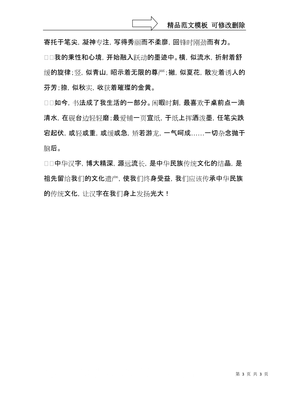 汉字的心得体会范文.docx_第3页