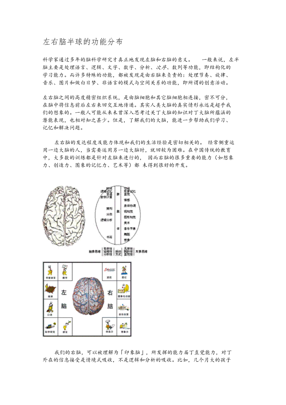 左右脑半球的功能分布.docx_第1页