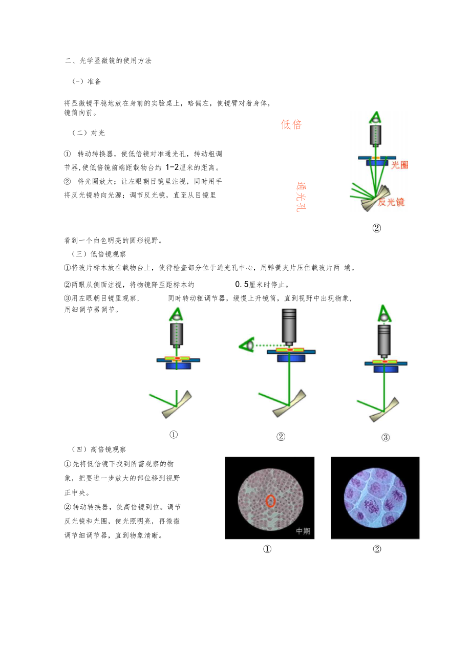 普通光学显微镜的结构与使用.docx_第3页