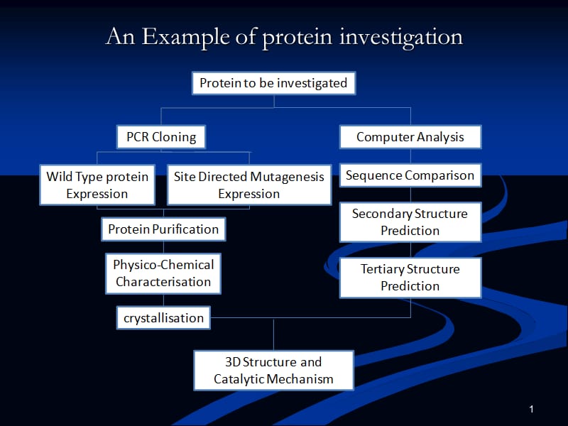 蛋白质的表达PPT课件.ppt_第1页