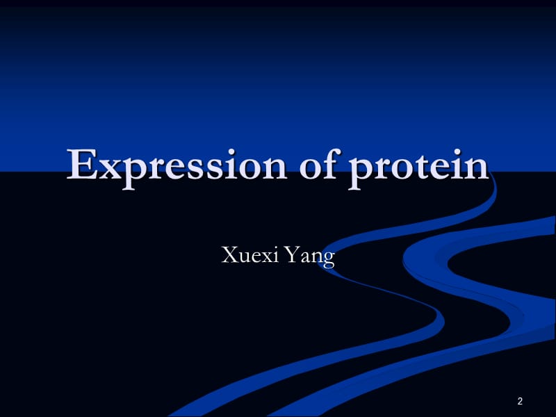 蛋白质的表达PPT课件.ppt_第2页