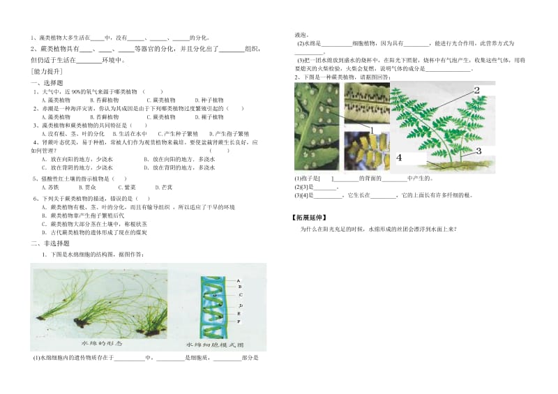 [精选类]七年级生物上册 第一节 绿色植物的主要类群（一）学案 济南版.doc_第2页