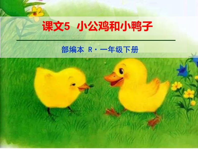 新人教版一年级下册课文5《小公鸡和小鸭子》教学课件1.ppt_第1页