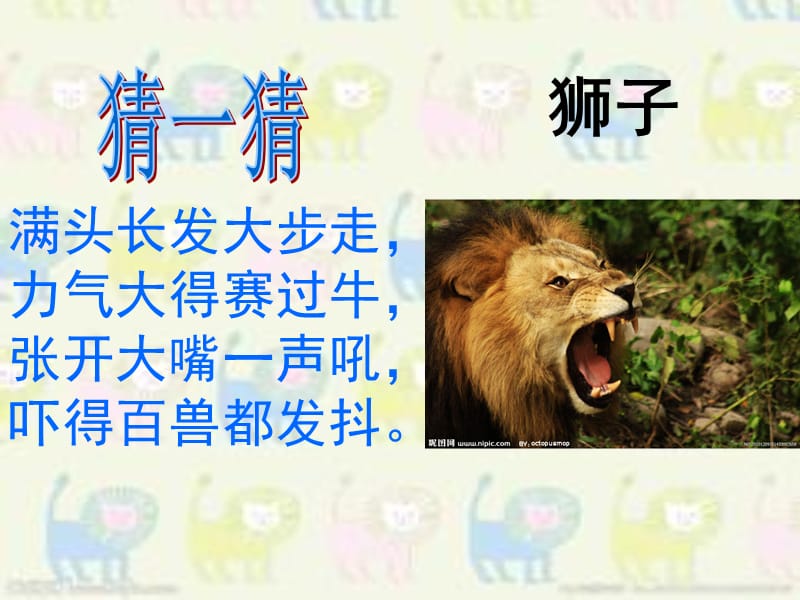27两只小狮子教学课件（婷版）.ppt_第1页