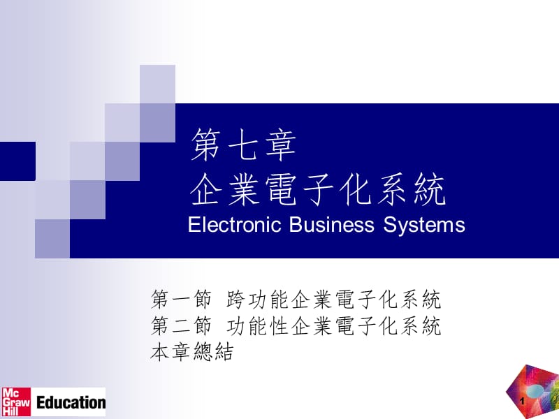 企业电子化系统PPT课件.ppt_第1页