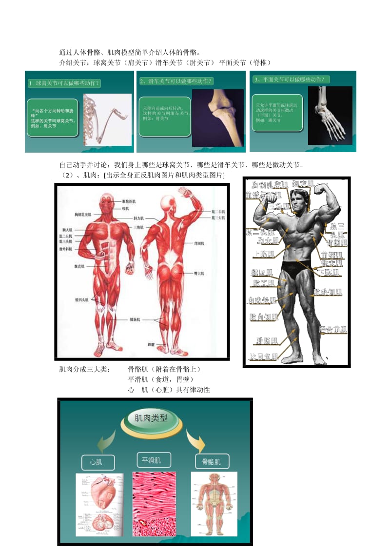 《人体与运动》教学设计.doc_第3页