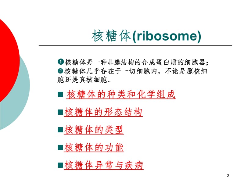 核糖体(ribosome)PPT课件.ppt_第2页