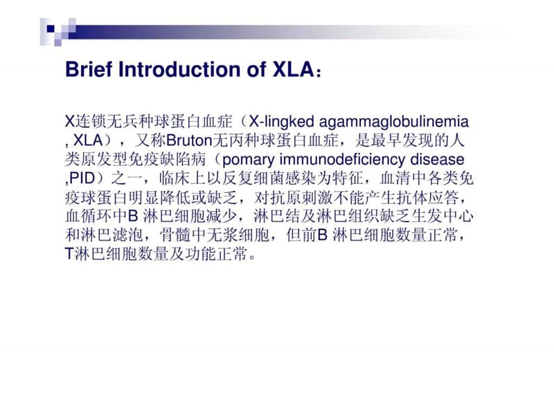 X连锁无丙种球蛋白血症 XLA课件.ppt_第2页