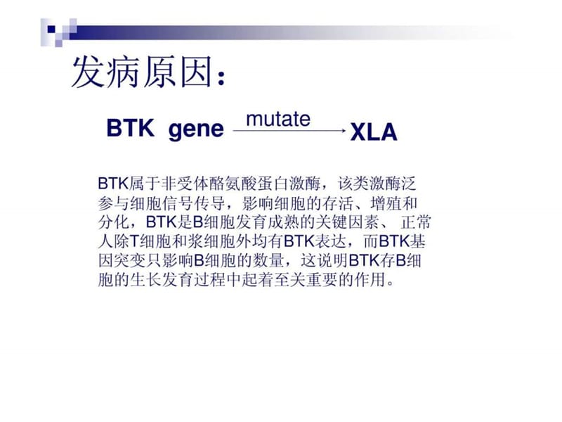 X连锁无丙种球蛋白血症 XLA课件.ppt_第3页