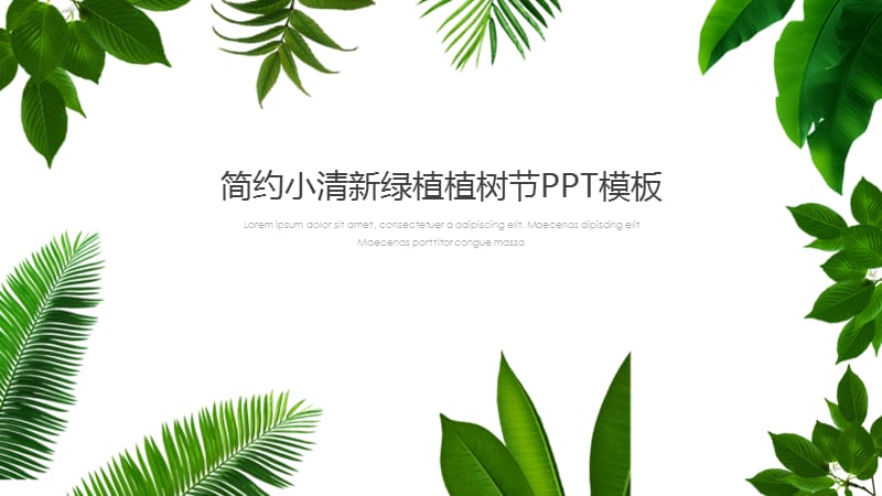 简约小清新绿植植树节PPT模板.pptx_第1页