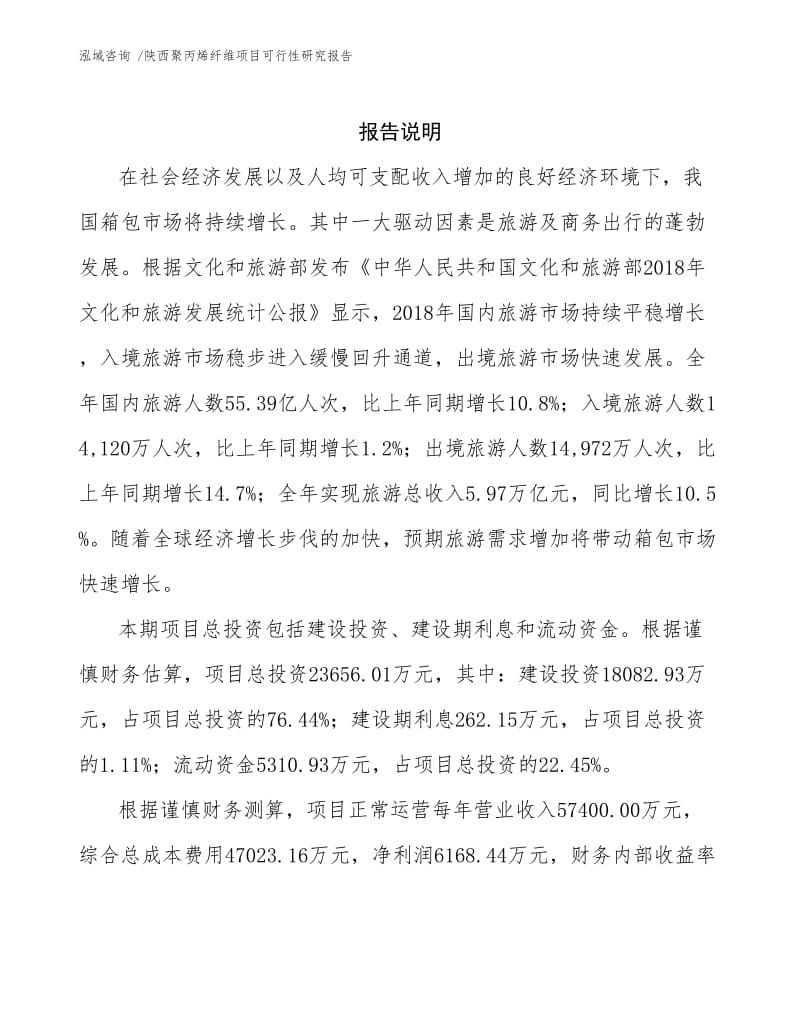 陕西聚丙烯纤维项目可行性研究报告.docx_第2页
