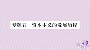 湖南省2019年中考历史复习 第二篇 知能综合提升 专题突破5 资本主义的发展历程课件.pptx