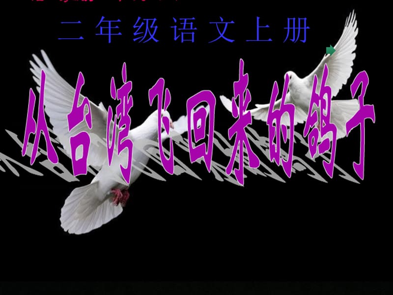 二语上册从台湾飞回来的鸽子.ppt_第1页