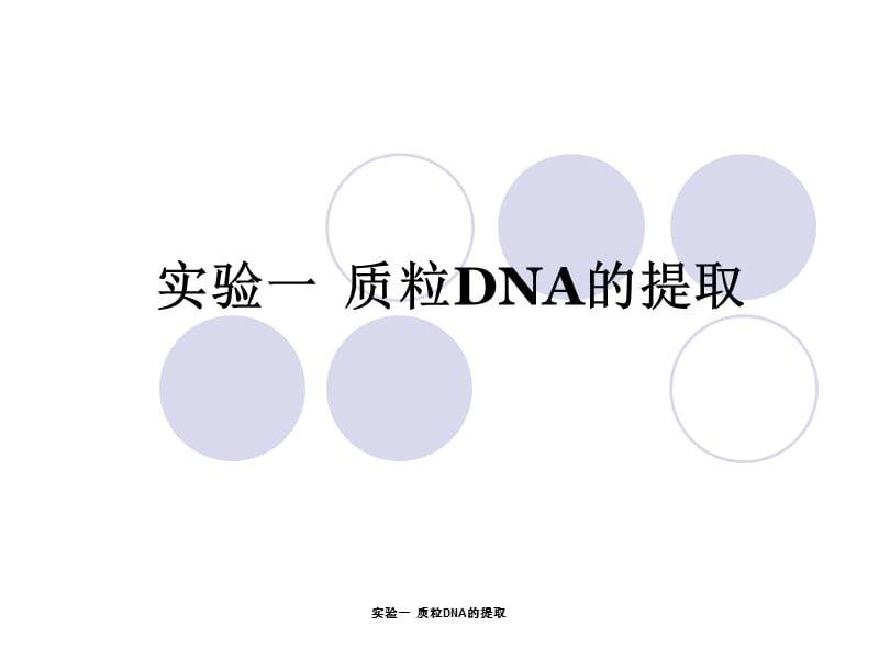 实验一质粒DNA的提取.ppt_第1页
