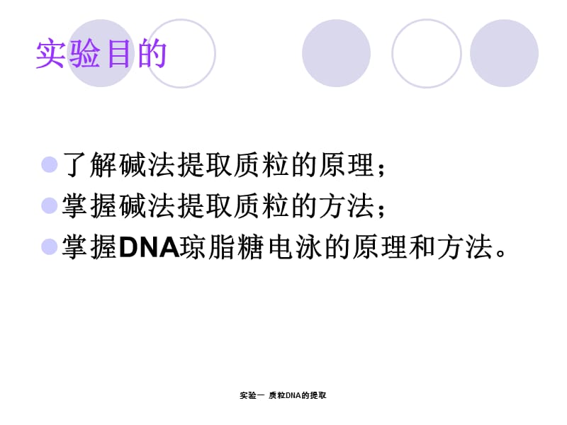 实验一质粒DNA的提取.ppt_第3页