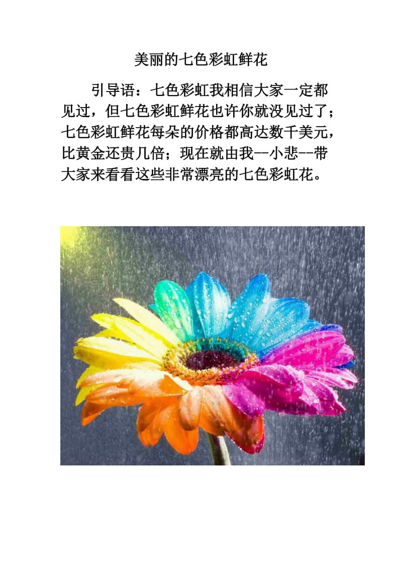 美丽的七色彩虹鲜花.doc_第1页