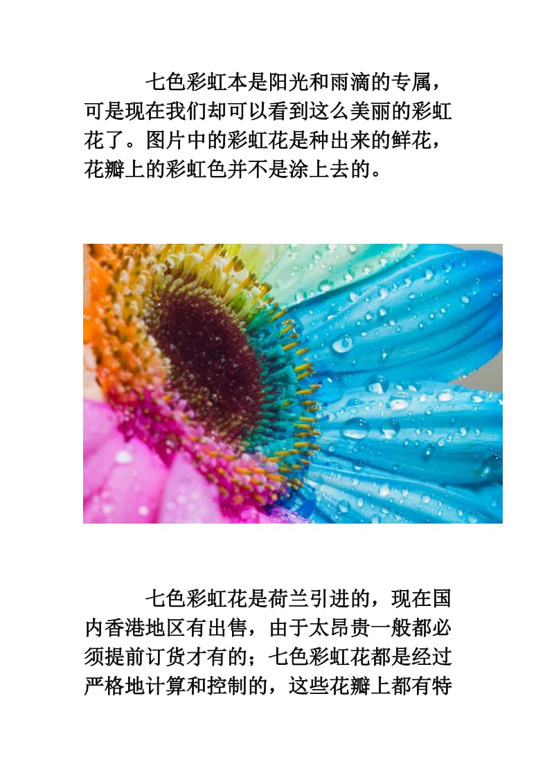 美丽的七色彩虹鲜花.doc_第2页