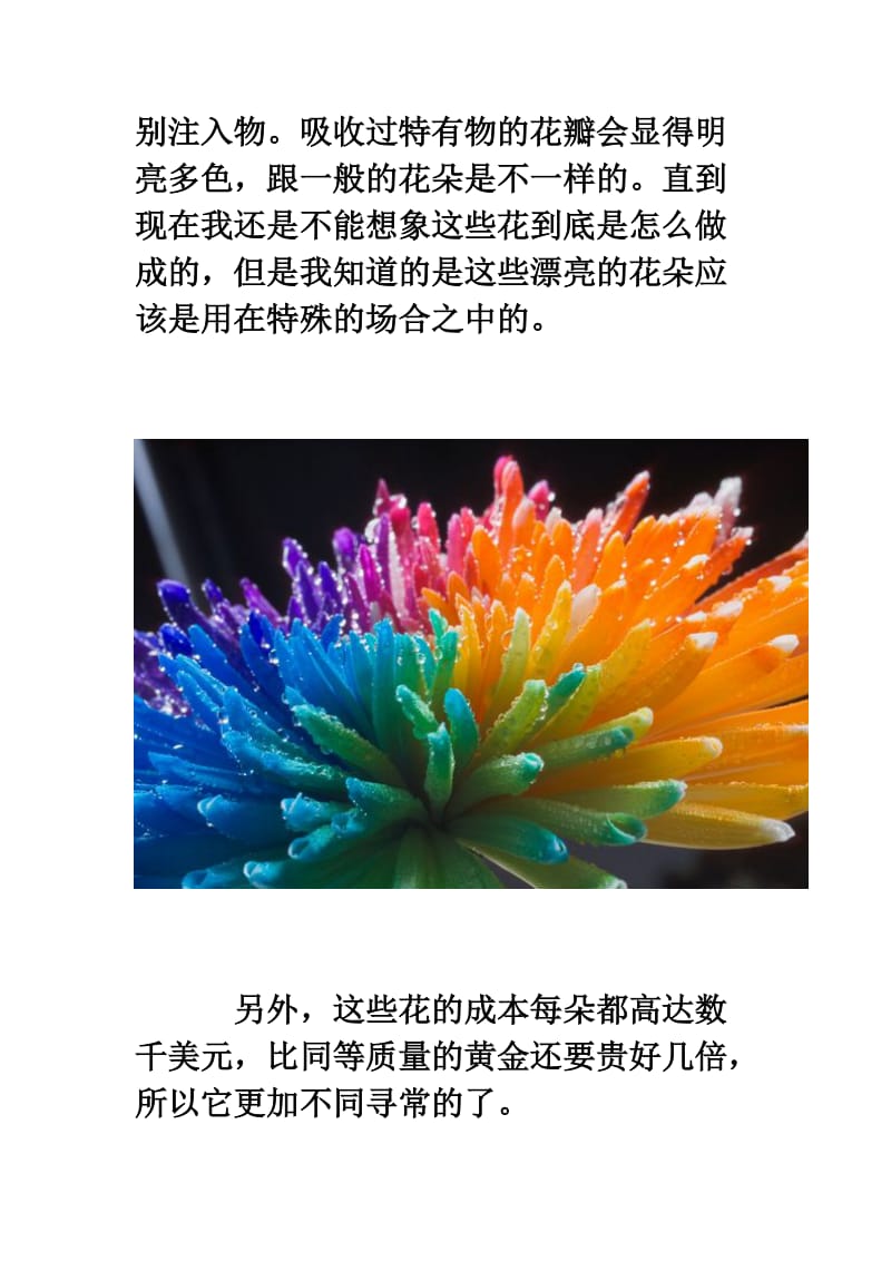 美丽的七色彩虹鲜花.doc_第3页