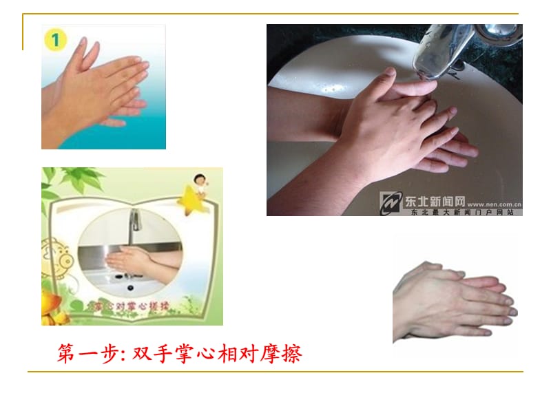 《正确的洗手方法》演示幻灯片.ppt_第3页