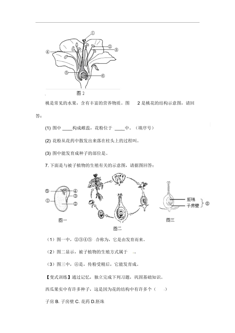 人教版七年级生物上册《开花和结果》教学案.docx_第3页