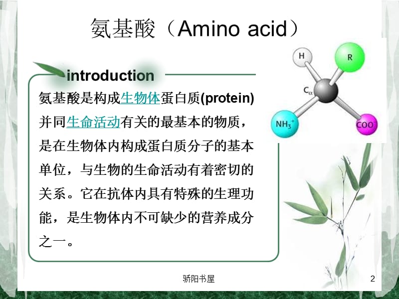 5氨基酸与支链氨基酸[课资资源].ppt_第2页