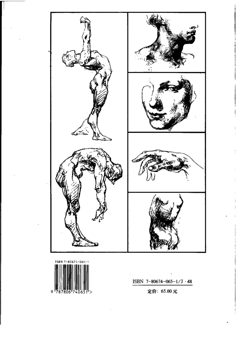 伯里曼人体结构绘画教学（中文）.doc_第2页