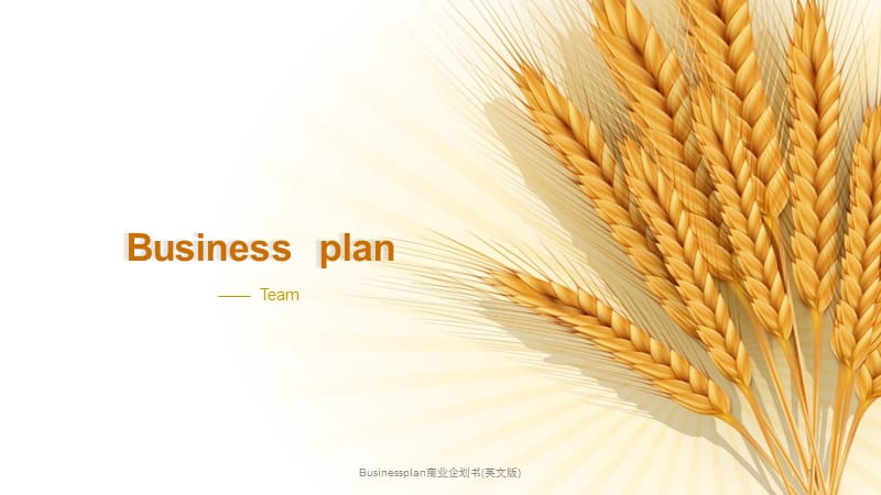 Businessplan商业企划书(英文版)课件.pptx_第1页