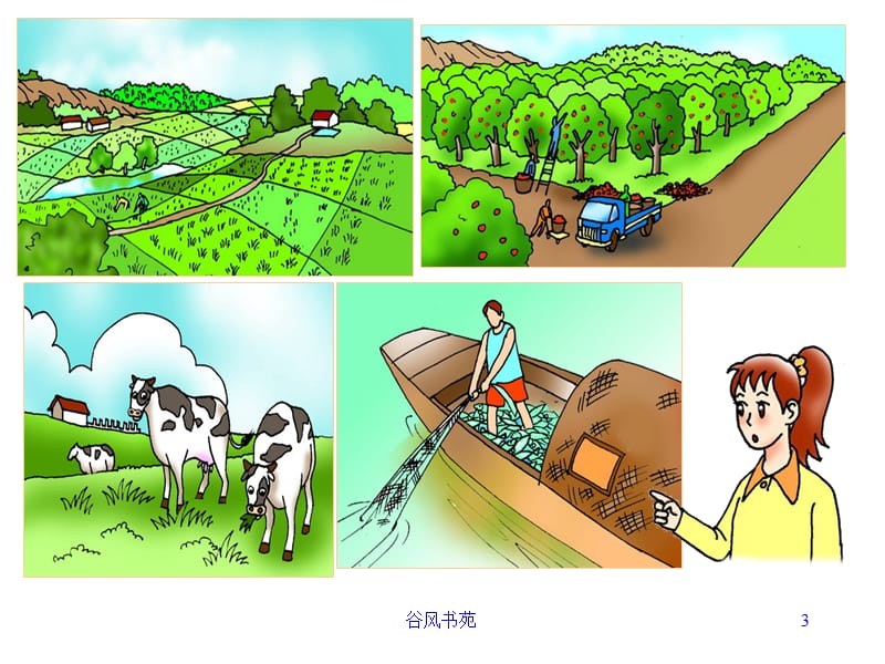 中国的农业【谷风参考】.ppt_第3页