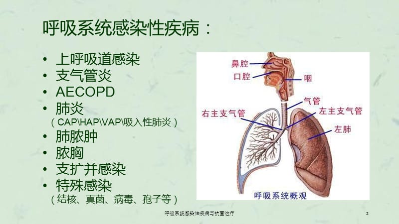 呼吸系统感染性疾病与抗菌治疗课件.ppt_第2页