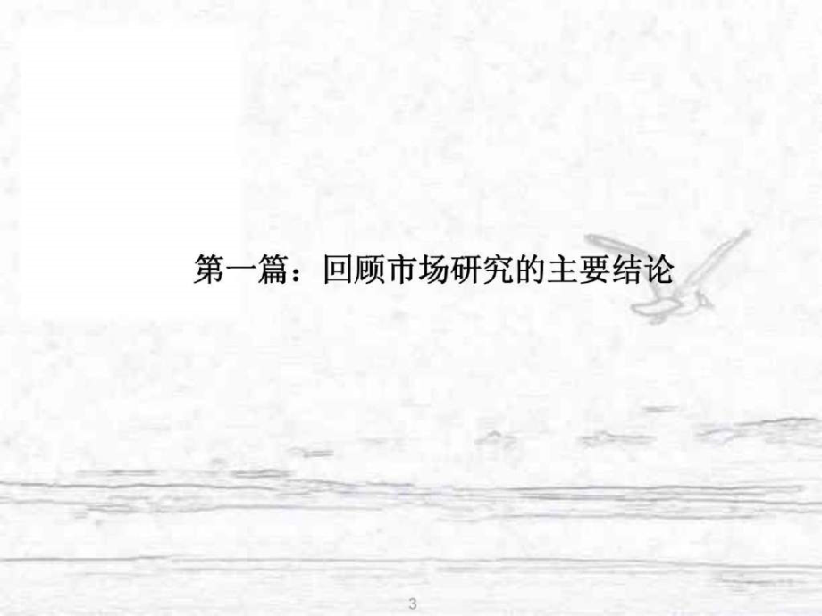 合富辉煌－上海保集集团奉贤海湾项目发展策划正式报告（165页） .ppt_第3页