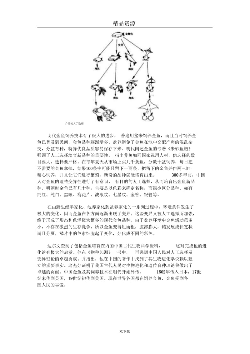 中国最早培育出金鱼.docx_第2页
