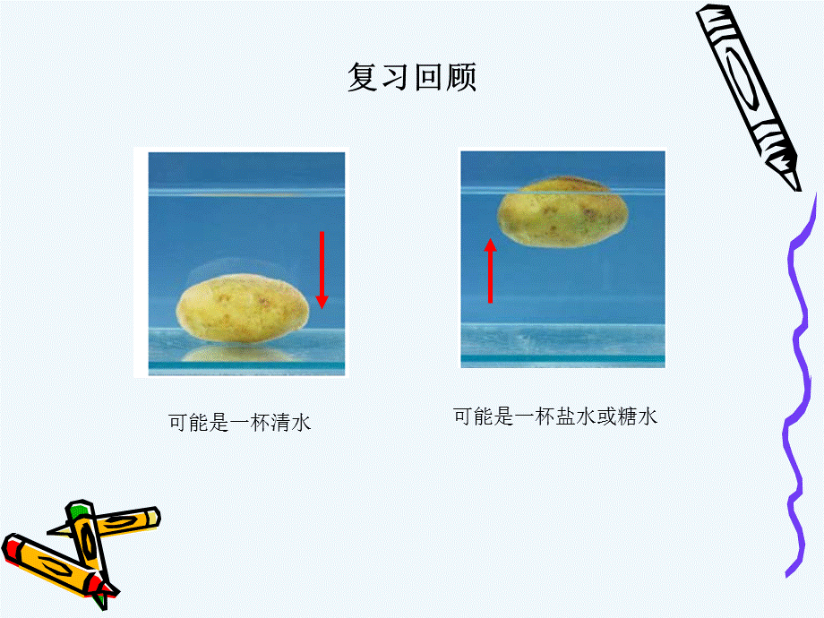 探索马铃薯沉浮的原因ppt.ppt_第2页