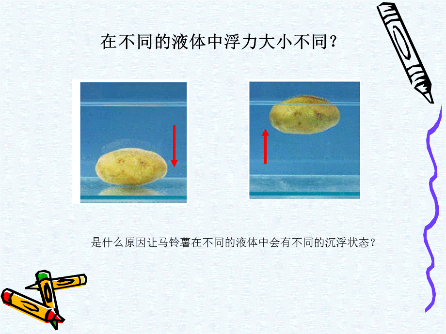 探索马铃薯沉浮的原因ppt.ppt_第3页