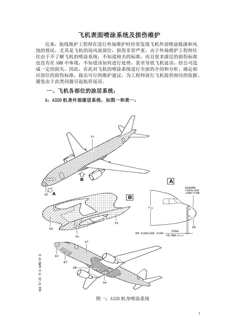 飞机表面喷涂系统.doc_第1页