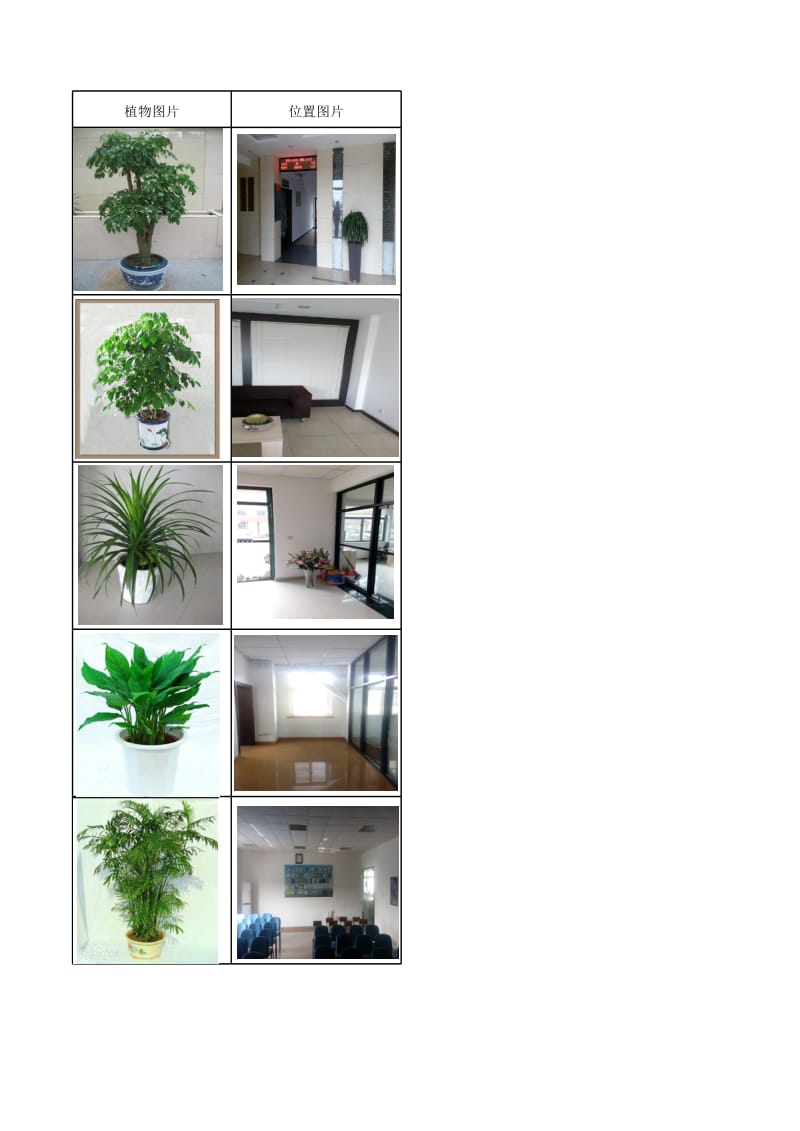 公司植物摆放方案(附植物及位置图).xls_第3页