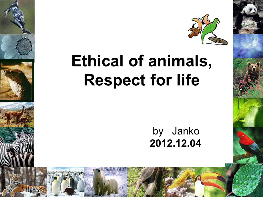 英语presentation保护濒危动物.ppt_第1页