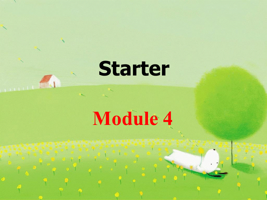 外研版七年级上册 starter Module 4 Unit1(共30张PPT).pptx_第1页