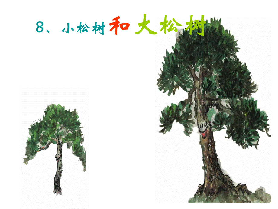 小松树和大松树(第二课时).ppt_第1页