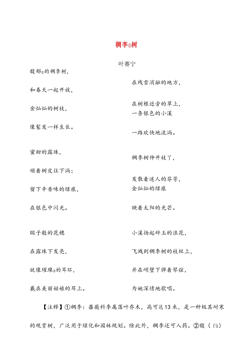 稠李树(阅读理解及答案).docx_第1页