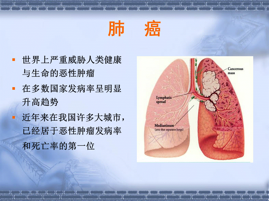 非小细胞肺癌的常用化疗方案.ppt_第2页