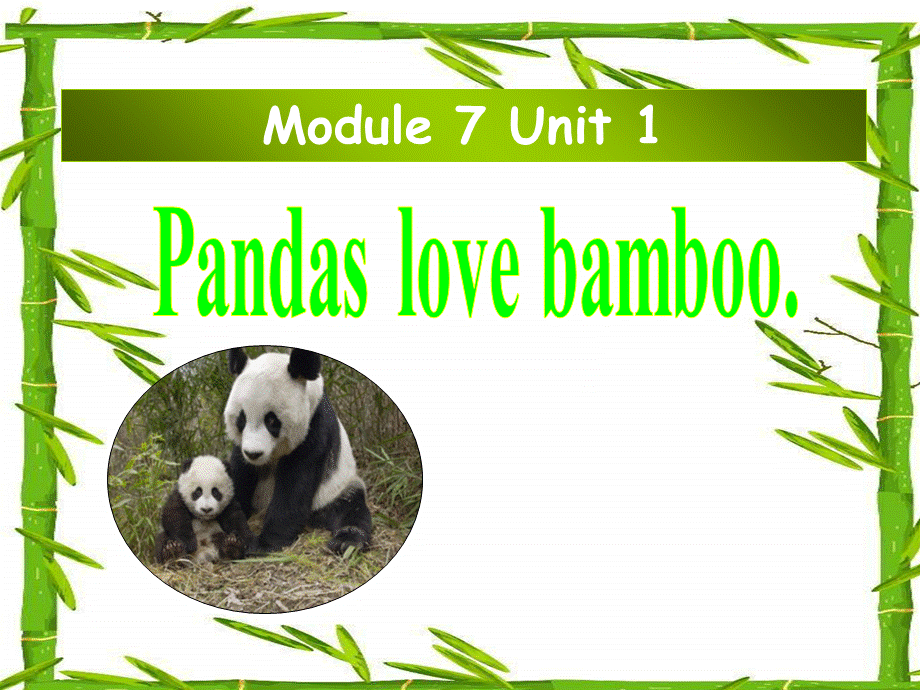 六年上册英语课件－7.2pandas love bamboo｜ 外研社 .ppt_第1页