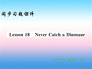 2018年秋九年级英语上册 Unit 3 Safety Lesson 18 Never Catch a Dinosaur习题课件 冀教版.ppt