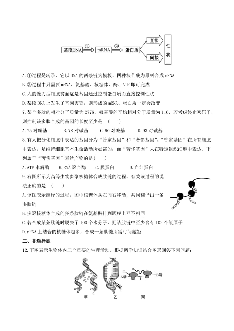 第4章--基因的表达.doc_第3页