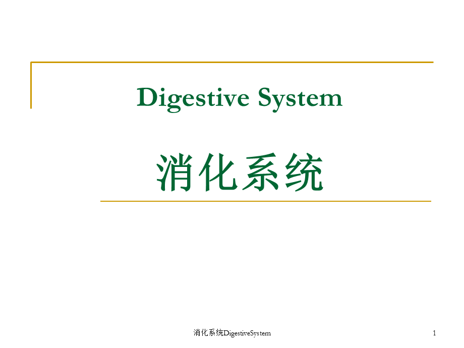 消化系统DigestiveSystem课件.ppt_第1页