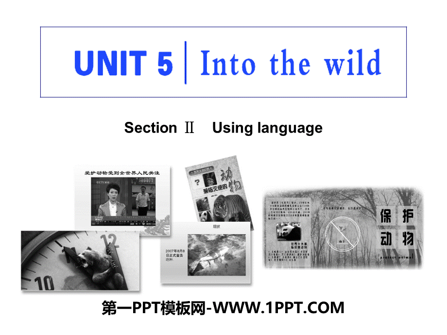 Section Ⅱ　Using language2.pptx_第1页