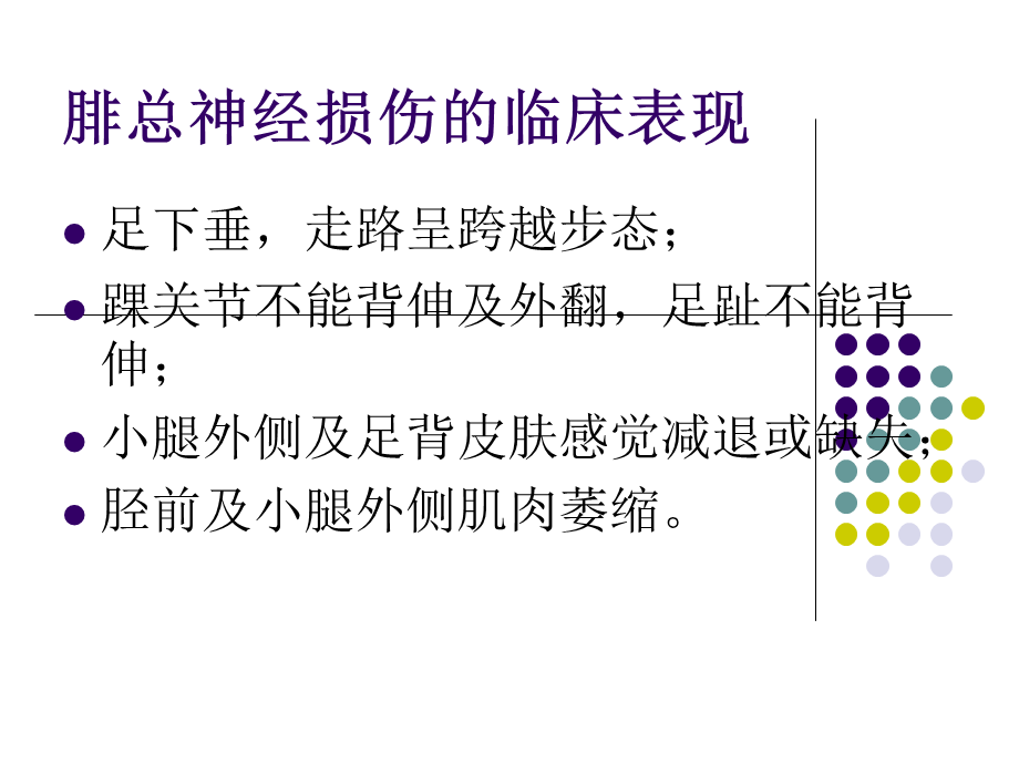 腓总神经损伤的护理.ppt_第2页